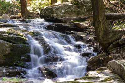 Abbey Pond Trail 2024